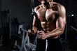 Muscular young man training triceps in the gym