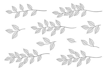 Wall Mural - branches with leaves set