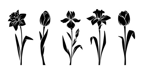 Wall Mural - Vector black silhouettes of spring flowers (tulips, narcissus and iris) isolated on a white background.