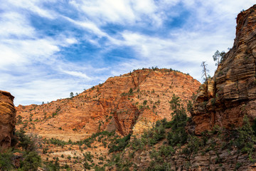 Wall Mural - Zion NP