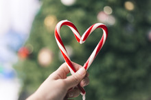 Candy Canes In The Shape Of Heart On A Hand, On The Background Of Blurred Christmas Trees