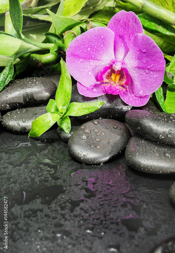 Fototapeta na wymiar Spa concept with zen stones, orchid flower and bamboo