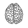 Flat style human brain top view doodle illustration