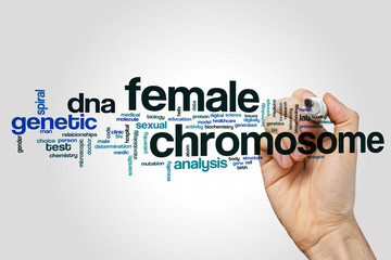 Poster - Female chromosome word cloud concept on grey background