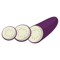 eggplant slice food healthy image vector illustration eps 10