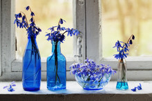 Blue Spring Flowers On Windowsill