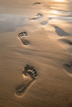 Footsteps In Sand At Sunset. Beautiful Sandy Tropical Beach With Footprints On The Shore.