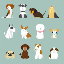 Sitting Dog Puppy Flat Design Illustration Set