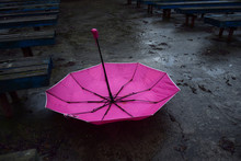 Discarded Umbrella On The Ground