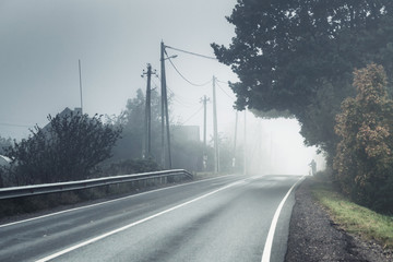 Wall Mural - Empty rural road in autumn foggy morning, blue