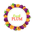 © A_Y_N - Round frame composed of ripe plums fruit. Vector card illustration.