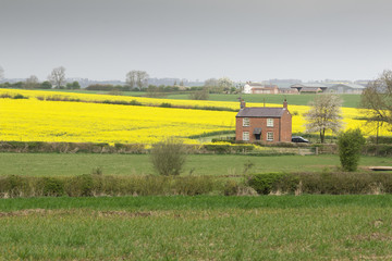 Cottage On The Farm