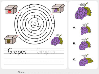 Wall Mural - Maze game: Pick grapes box - worksheet for education