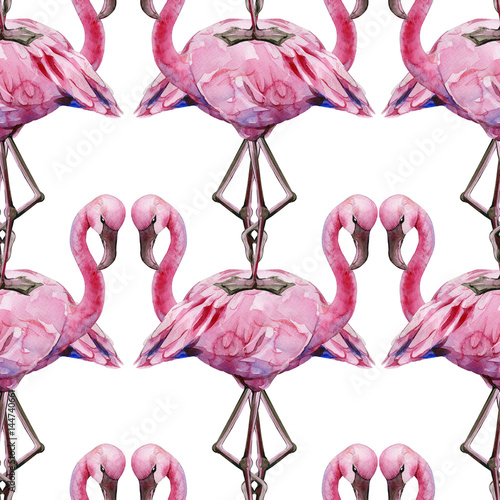 Watercolor illustration of tropical pink flamingo bird. Trendy artwork with t...