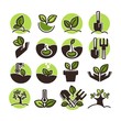 Tree planting and green gardening horticulture vector icons set
