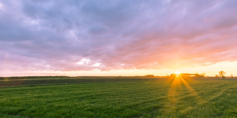  Sunrise in the field (light)