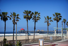 Beach With Pier And Palm Trees