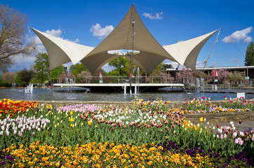 Poster - Kölner Tanzbrunnen im Frühling