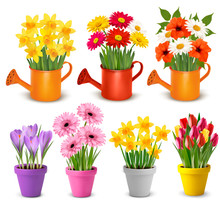 Spring And Summer Colorful Flowers In Pots  Vector