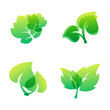 © partyvector - Green leaf eco design friendly nature elegance symbol and natural element ecology organic vector illustration.