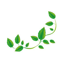 White Background With Green Creeper Vector Illustration