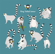 ring tail lemur animal flat design illustration set