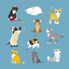  kot kitten różne zachowanie zestaw ilustracji