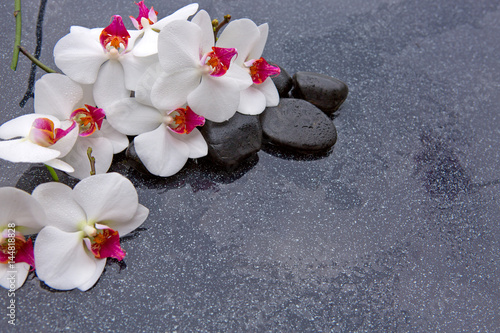 Obraz w ramie Spa stones and white orchid on grey background.