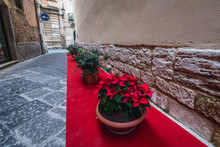 Poinsettia Flowers Placed On Red Carpet On Ortygia Isle, Syracuse City, Sicily Island In Italy