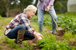 © Syda Productions - senior couple working in garden or at summer farm