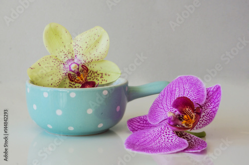 Obraz w ramie Fresh pink and yellow Phalаenopsis orchid and blue bowl on a white background. Concept spa and relaxation.