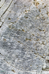 Old wood texture background