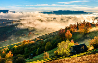  mountain rural area in foggy autumn morning