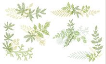 Green Floral Hand Drawn Decoration Elements. Vector Greenery Branches Isolated On White Background. Botanical Spring Doodle Wallpaper