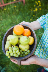 Canvas Print - Fresh fruit in hands