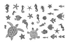 Hand Drawn Sketch Set Of Turtles, Jellyfish And Other Sea Animals. Vector Illustration