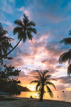 Beach, Palm Trees And Sea At Sunset, Mo'orea, South Pacific