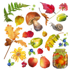 Wall Mural - Autumn Watercolor Natural Collection