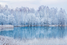 Beautiful Landscape With Reflection In The Blue Water. Tree Branches Are Snow Covered And Look Very Beautiful At Lake In The Park After Spring Blizzard In The Afternoon.