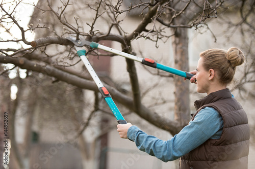 Fotografía Young woman taking care of garden. Cutting tree branch.