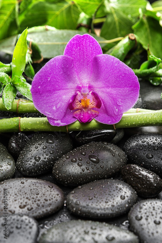 Nowoczesny obraz na płótnie Spa concept with zen stones, orchid flower and bamboo