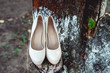 © Mykola - bride's biege shoes on heel on a tree