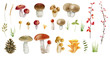 Clipboard set of watercolor hand drawn mushrooms