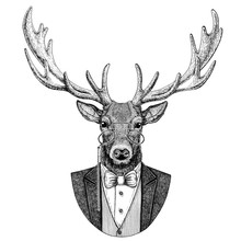 Deer Hipster Animal Hand Drawn Illustration For Tattoo, Emblem, Badge, Logo, Patch, T-shirt
