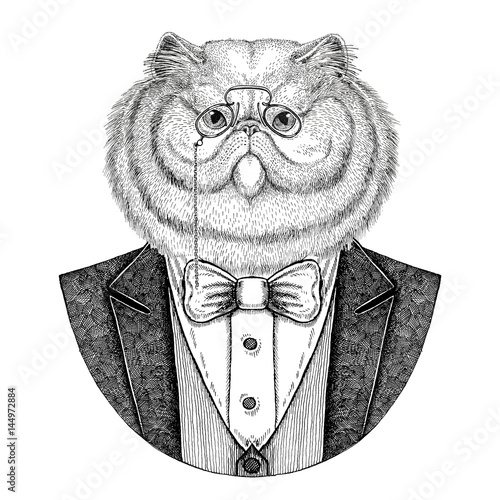 portrait-of-fluffy-persian-cat-hipster-animal-hand-drawn-illustration-for-tattoo-emblem-badge-logo-patch-t-shirt