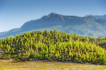 Wall Mural - Green hill against mountaintop