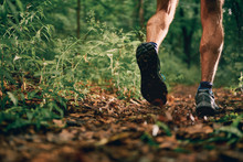 Muscular Calves Of A Fit Male Jogger Training For Cross Country Forest Trail Race In Nature Park.