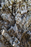 Fototapeta Do akwarium - Stone background of mountain slope