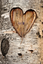 Outdoor, Creativity And Love Concept - A Heart Etched On A Tree.