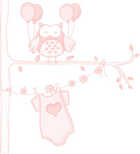 Pink Owl Baby Shower
